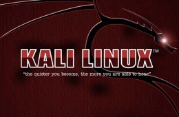 ★ Kali Linux 安装（五笔拼音输入法）